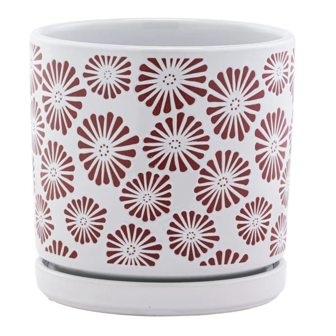 Red Zinnia Planter & Saucer