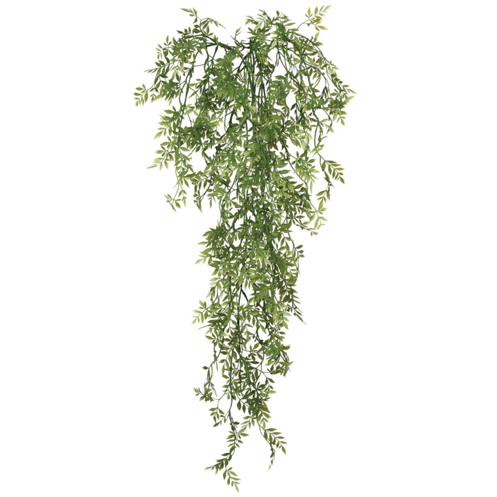 Green Wisteria Hanging Foliage