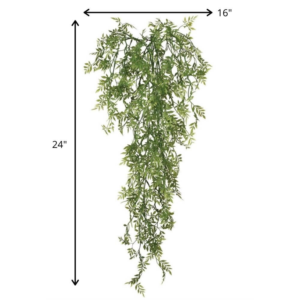 Green Wisteria Hanging Foliage