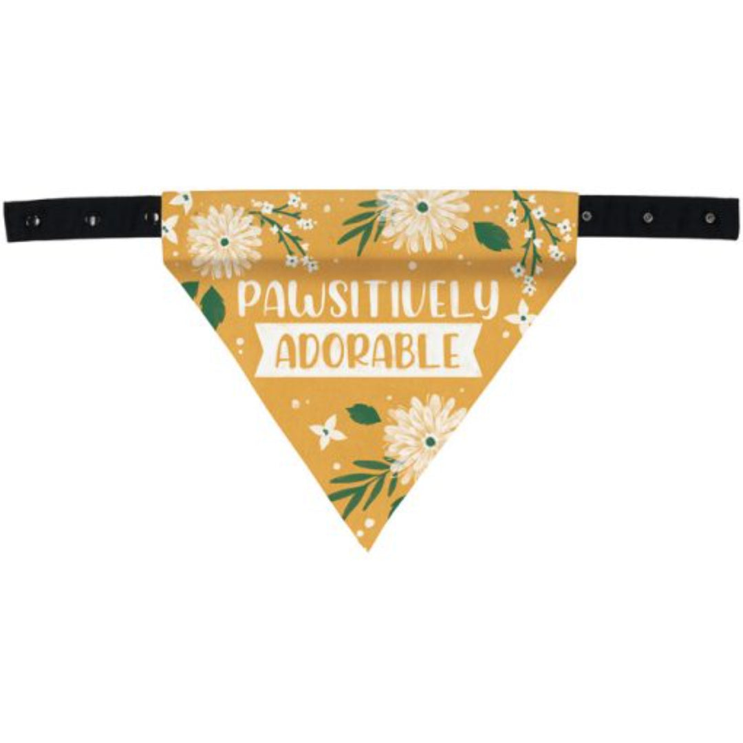 Pawsitively Adorable Dog Bandana