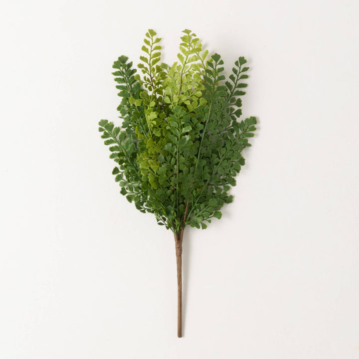 Natural Maidenhair Fern Bush