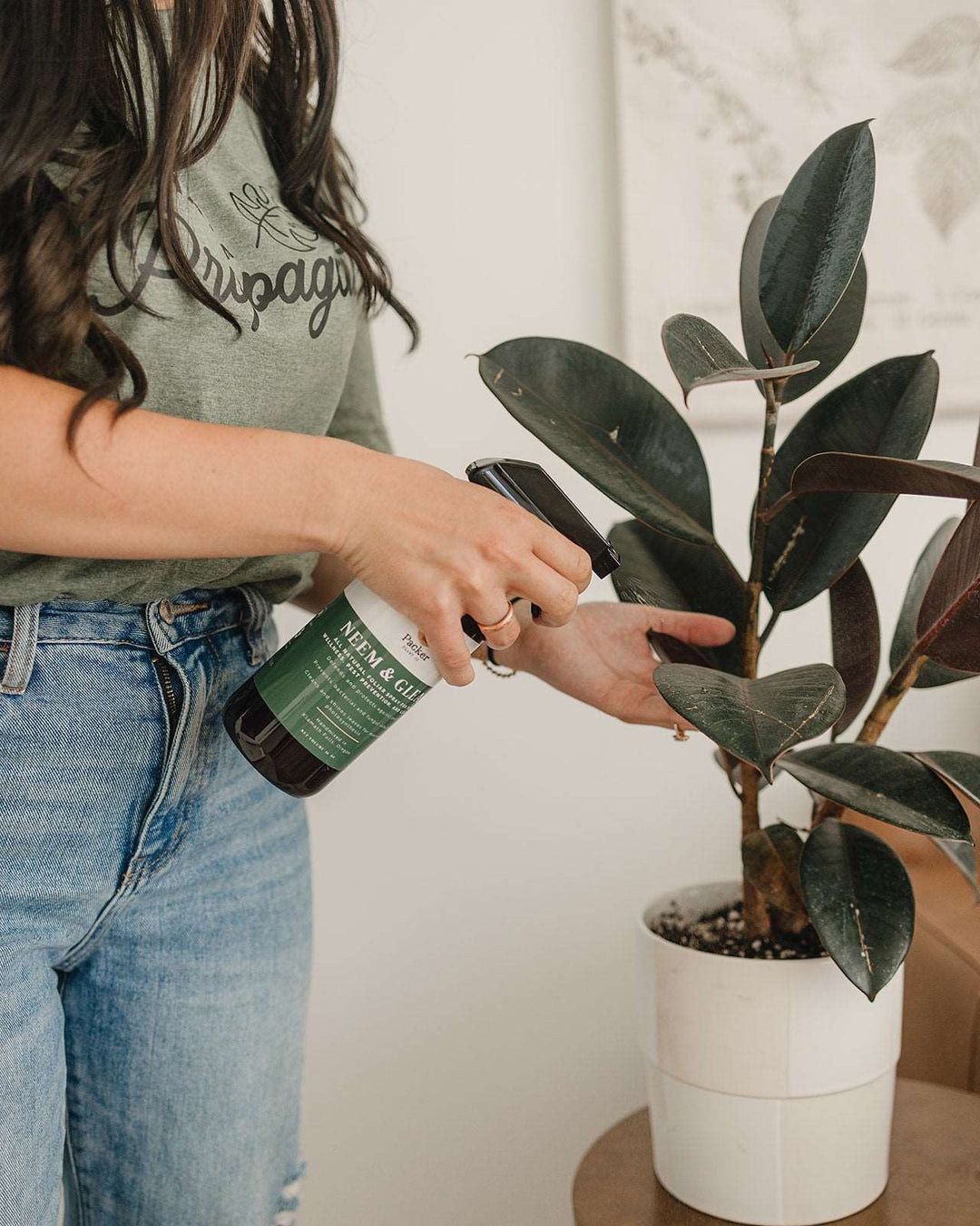 Neem & Gleam Plant Spray
