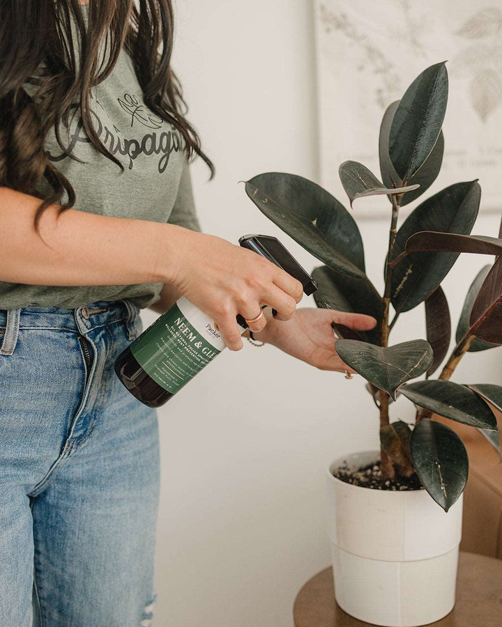 Neem & Gleam Plant Spray