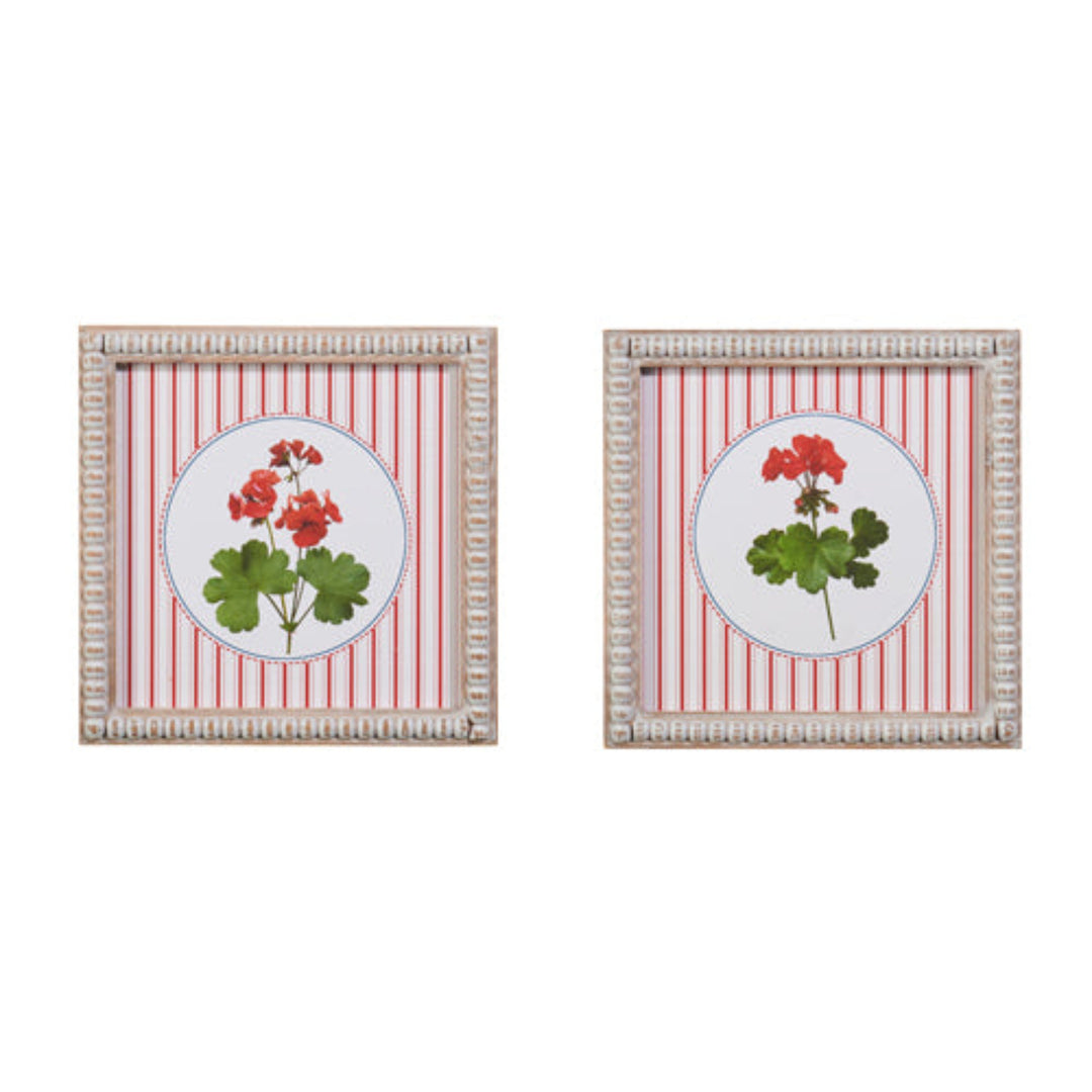 Striped Geranium Framed Art