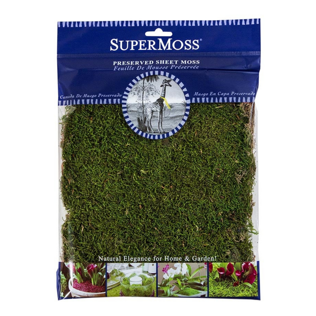 Preserved Sheet Moss