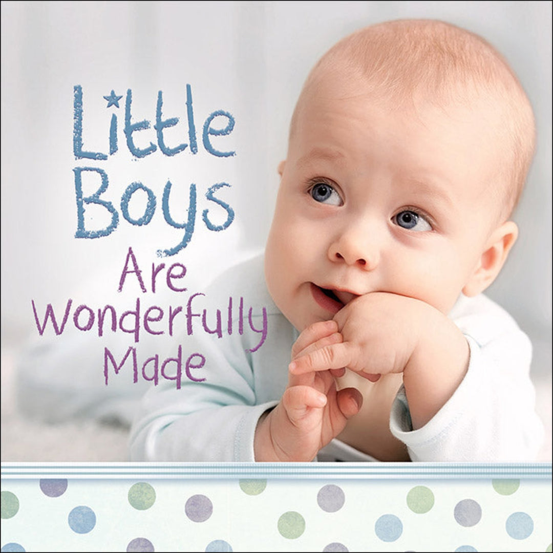 Little Boys Are Wonderfully Made Book