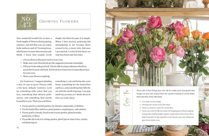 Create Your Own Cozy By Liz Marie Galvan