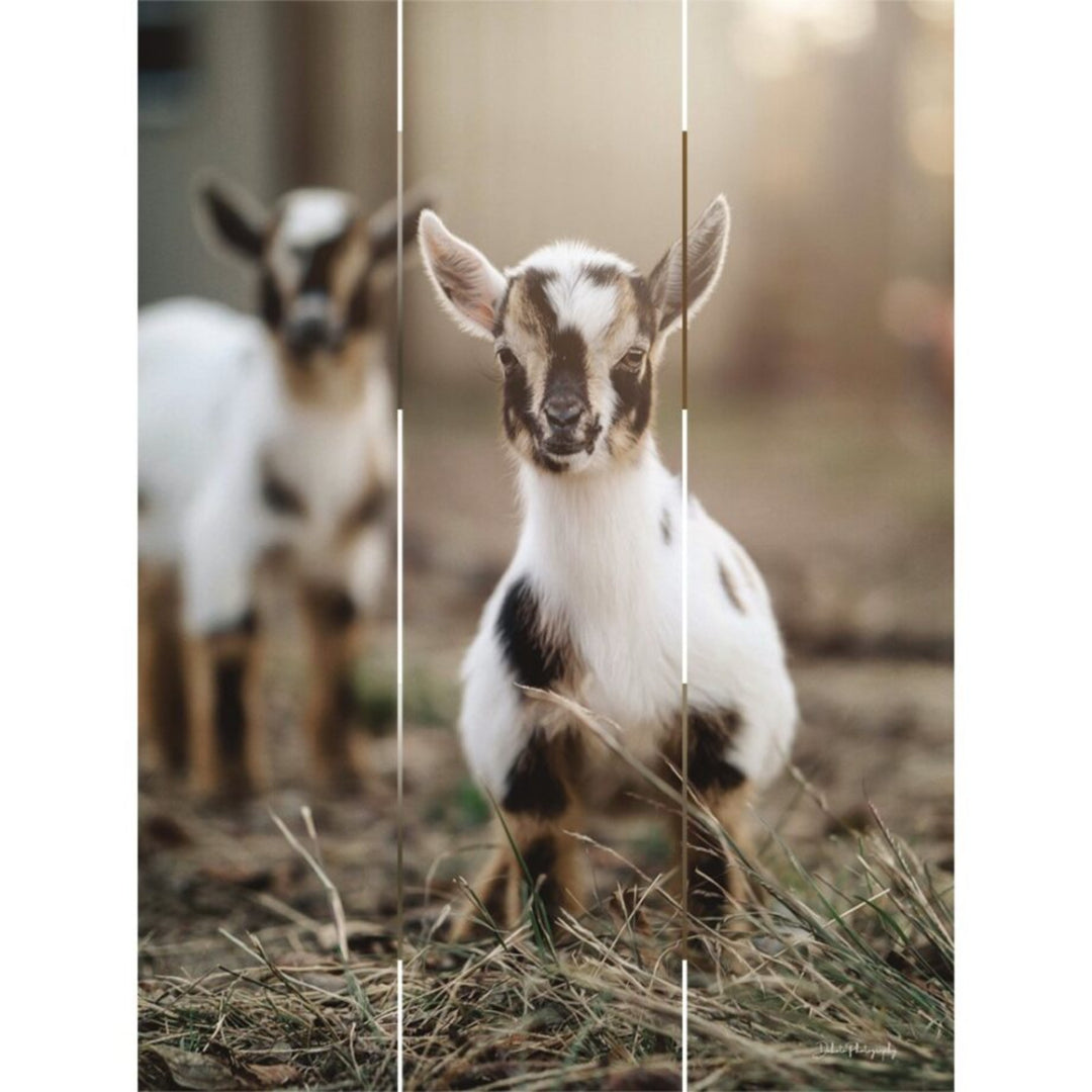 Lil' Babies Wooden Print