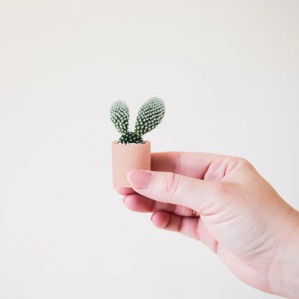 Teeny Tiny Planter