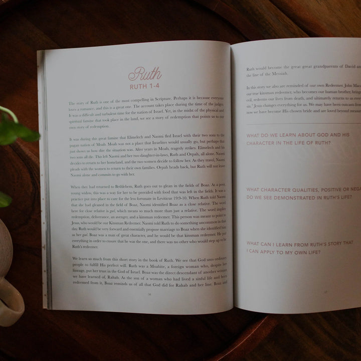 Daughters Of Grace: Women Of The Bible