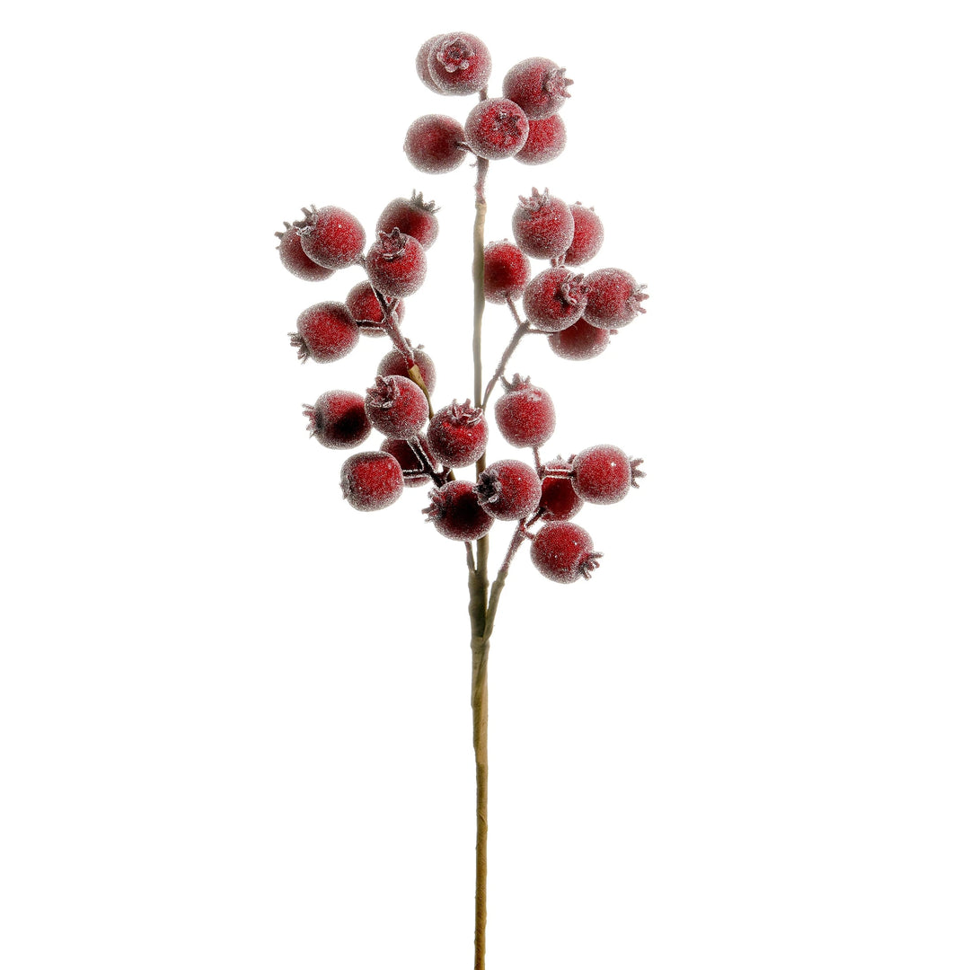 Iced Burgundy Berry Spray