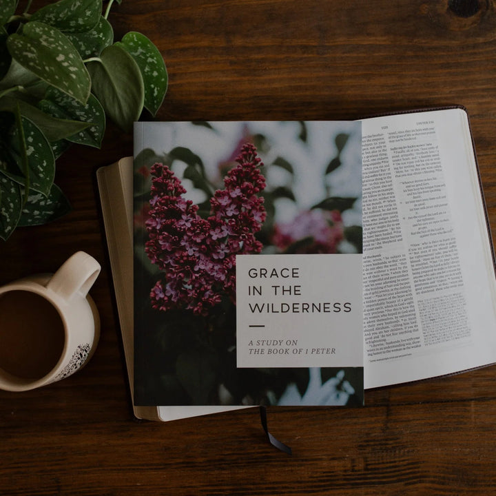 Grace In The Wilderness Bible Study