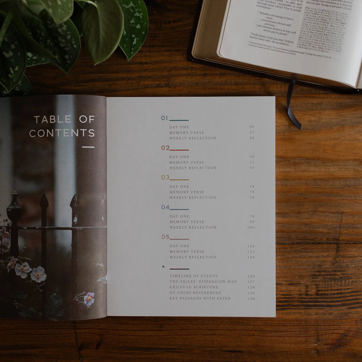 Grace In The Wilderness Bible Study