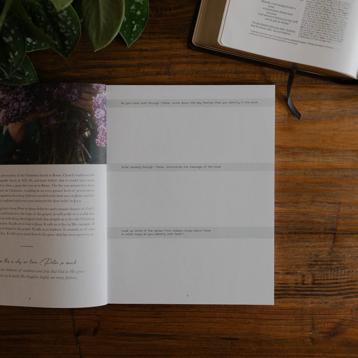 Grace In The Wilderness Bible Study