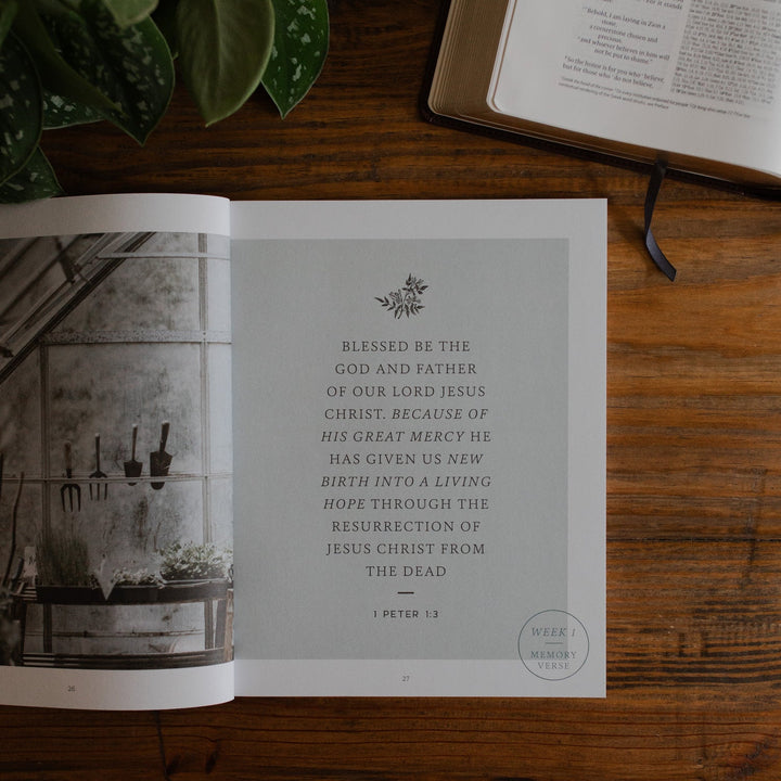Grace In The Wilderness Bible Study
