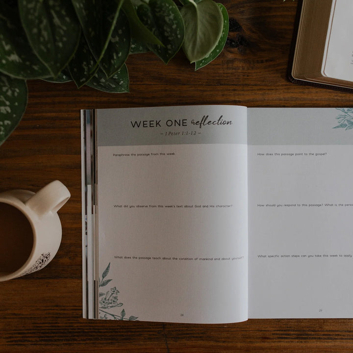 Grace In The Wilderness Bible Study