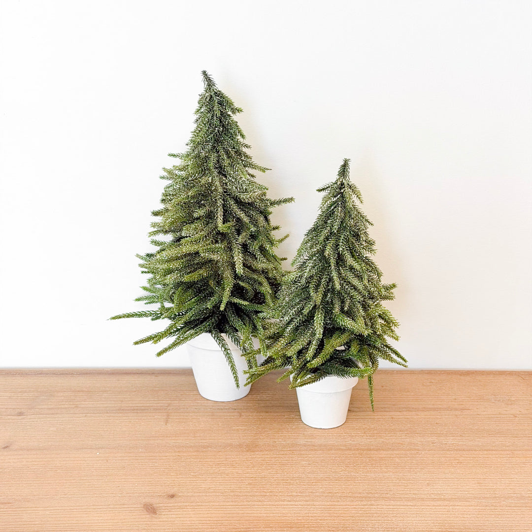 Glittered Mini Norfolk Potted Pine