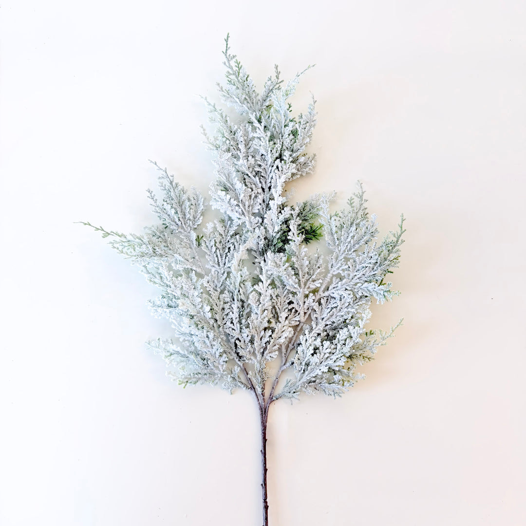 Super Snowy Cedar Spray