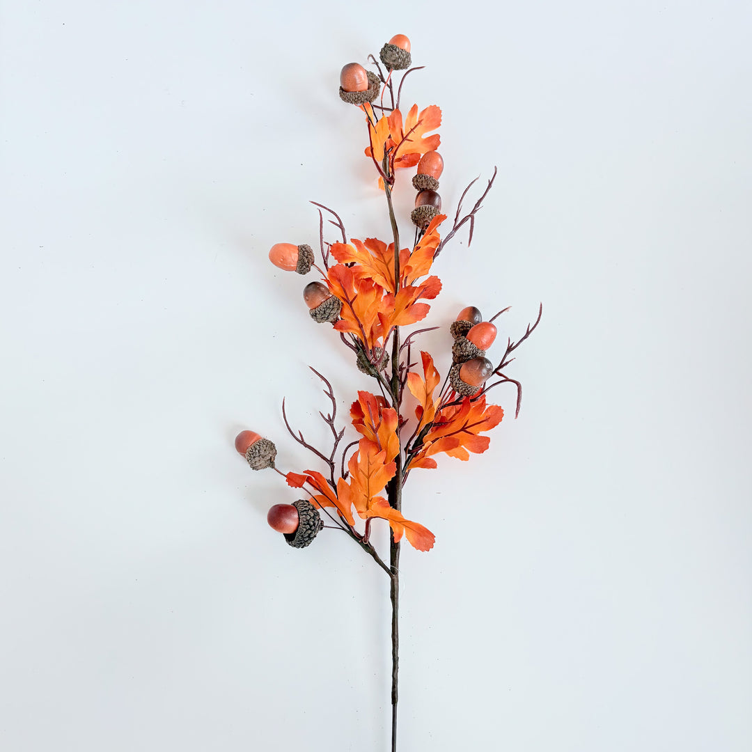 Fire Orange Acorn Spray