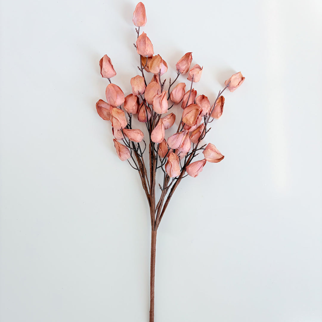 Rosy Lantern Spray