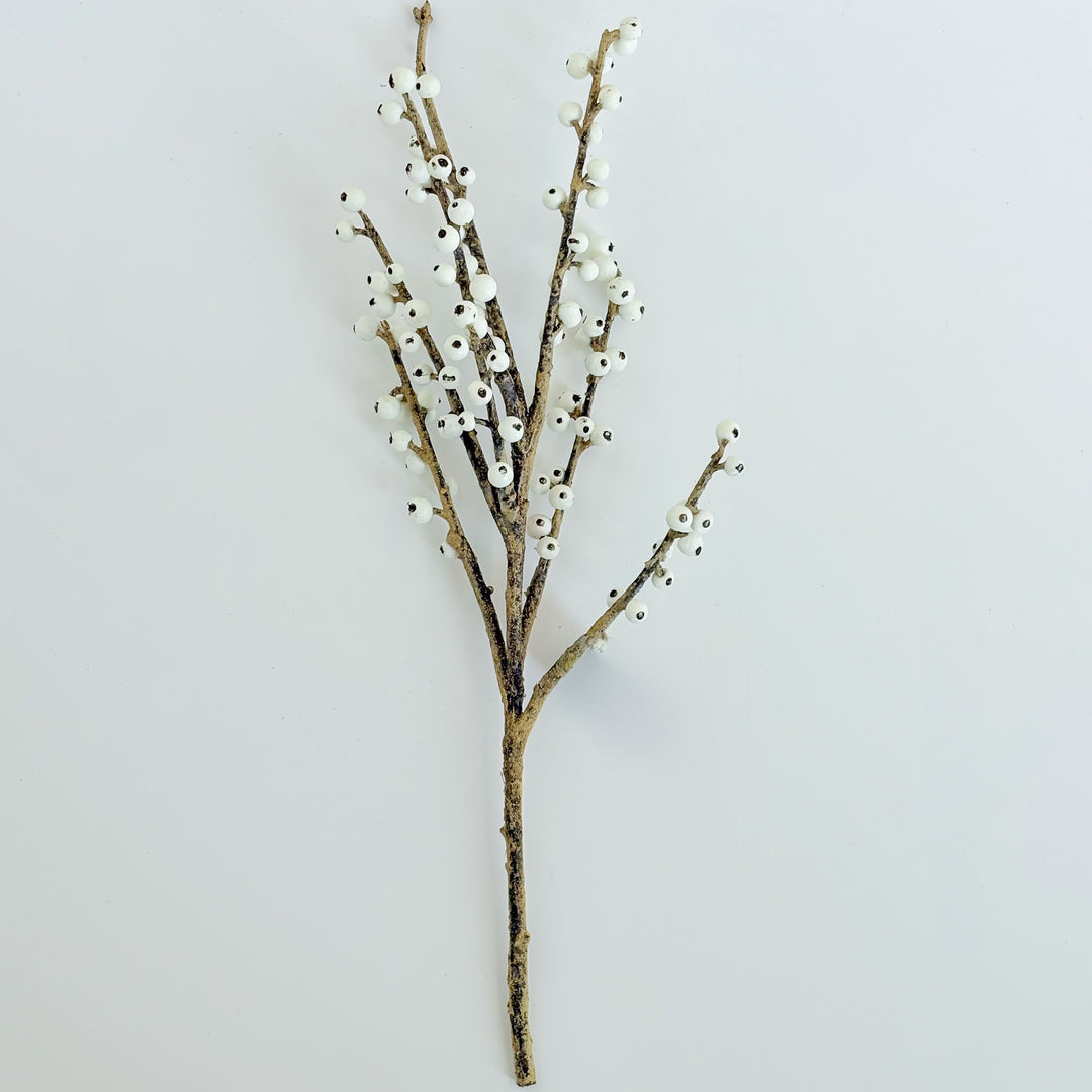 Elegant White Berry Pick
