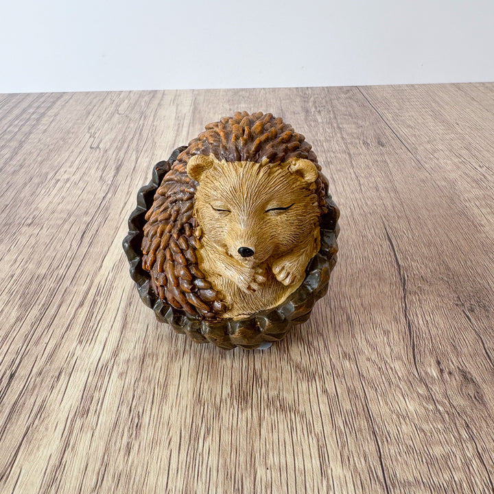 Sleepy Forrest Friend