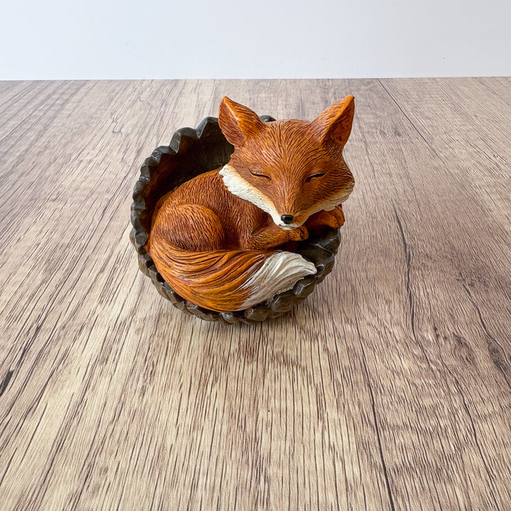 Sleepy Forrest Friend