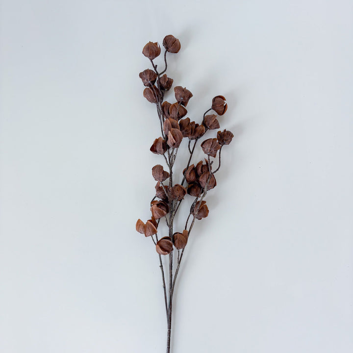 Autumnal Chinese Lantern Spray