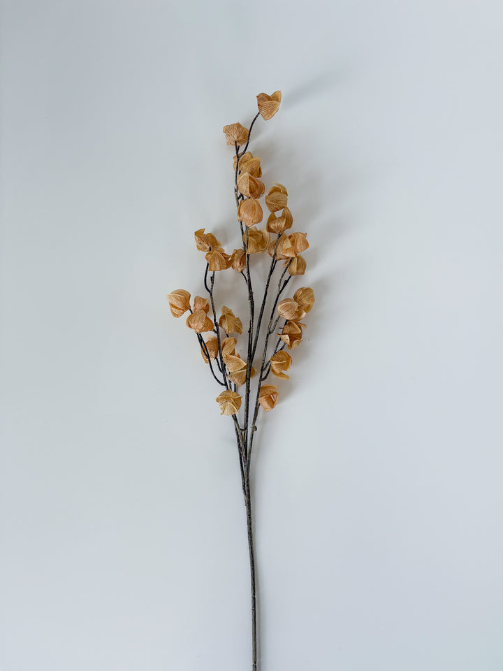 Autumnal Chinese Lantern Spray