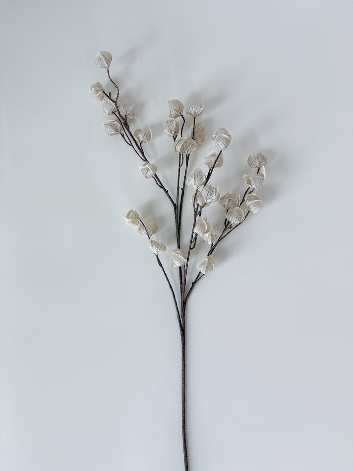 Autumnal Chinese Lantern Spray