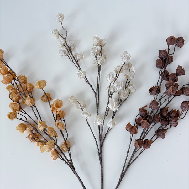 Autumnal Chinese Lantern Spray