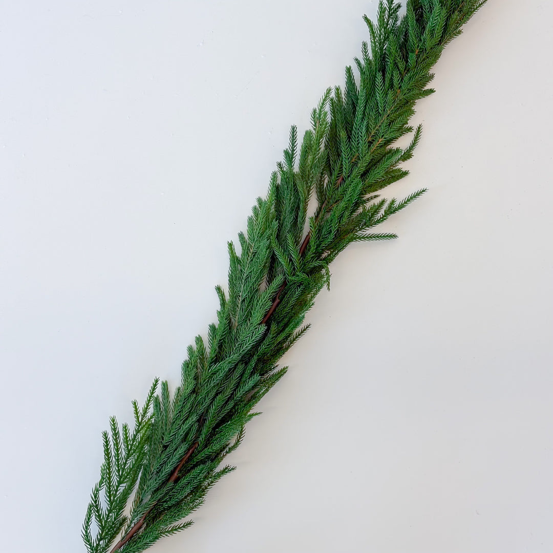 Soft Touch Mini Fir Garland