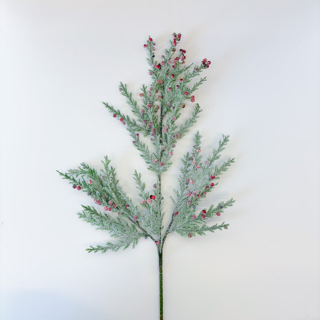 Prickly Juniper & Mini Berry Spray