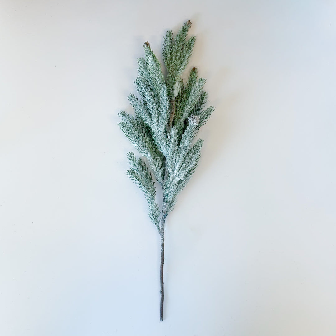 Snowy Evergreen & Cone Spray