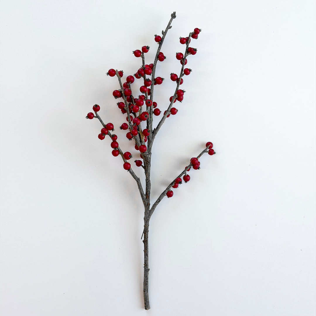 Rustic Red Winter Berry Pick