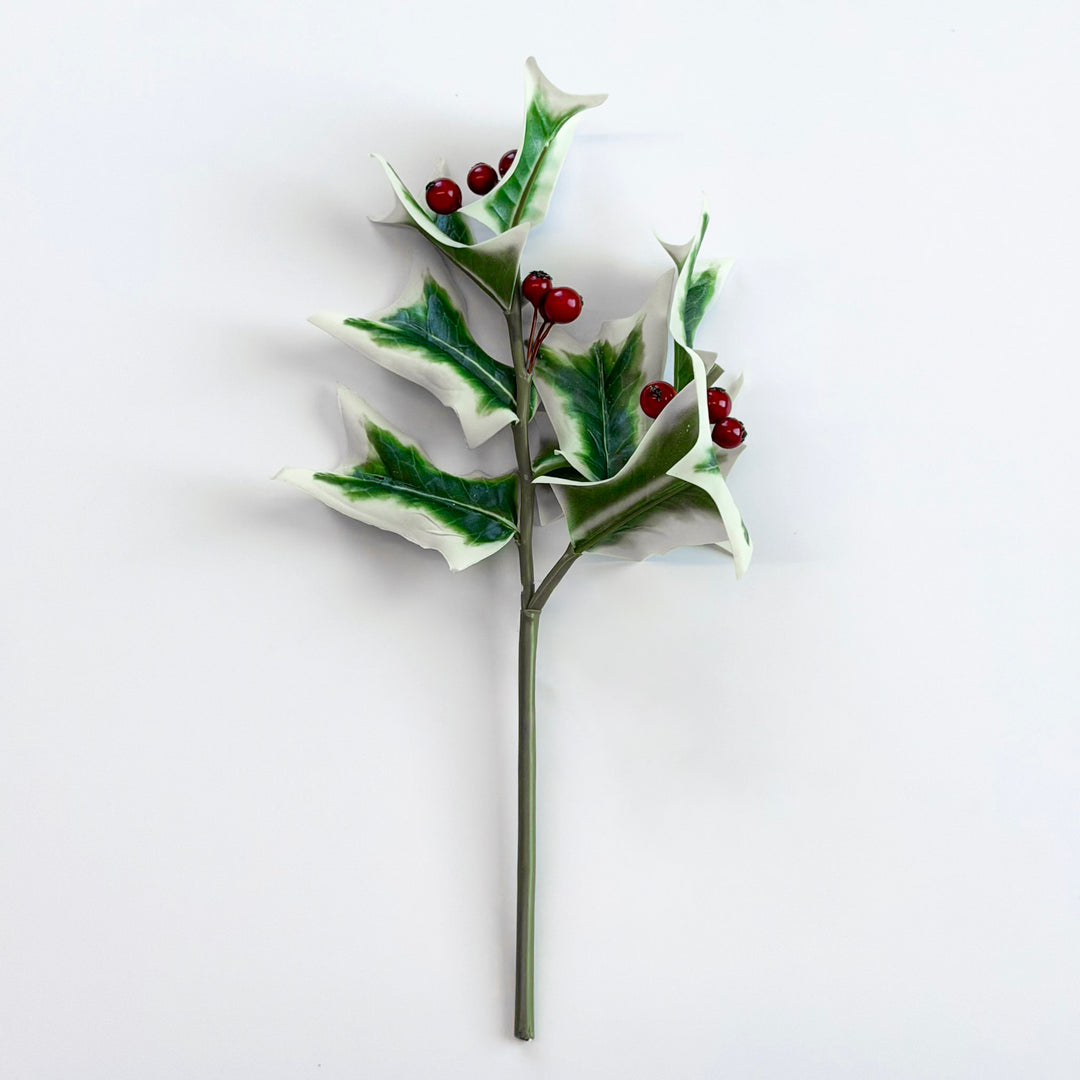Fresh Cut Holly Berry Pick