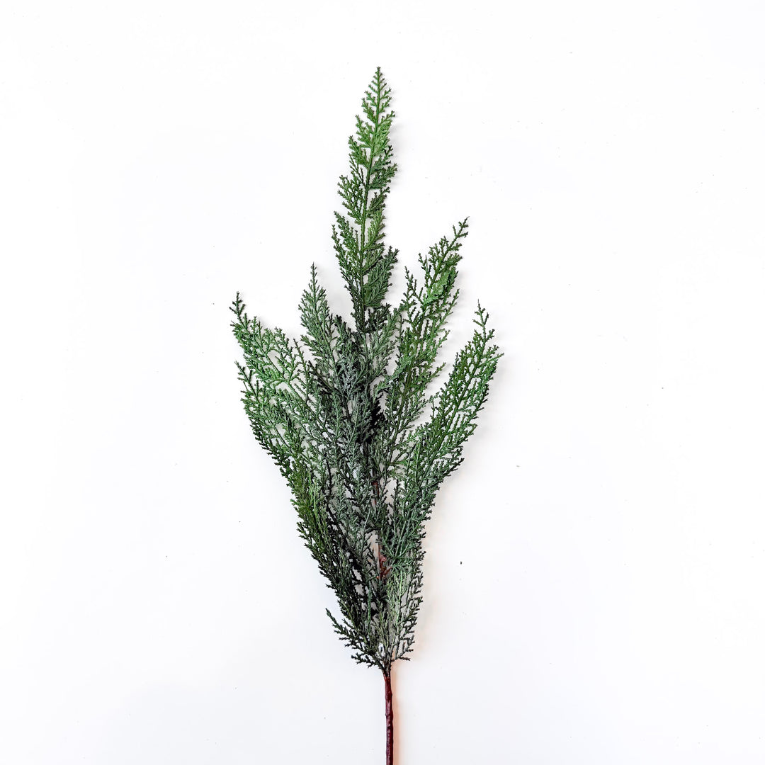 Joyful Noise Cedar Spray