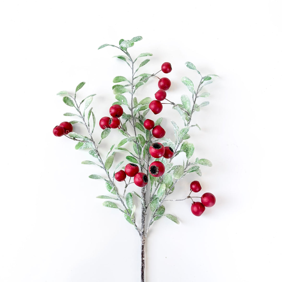 Frosted Button Leaf & Red Berry Spray