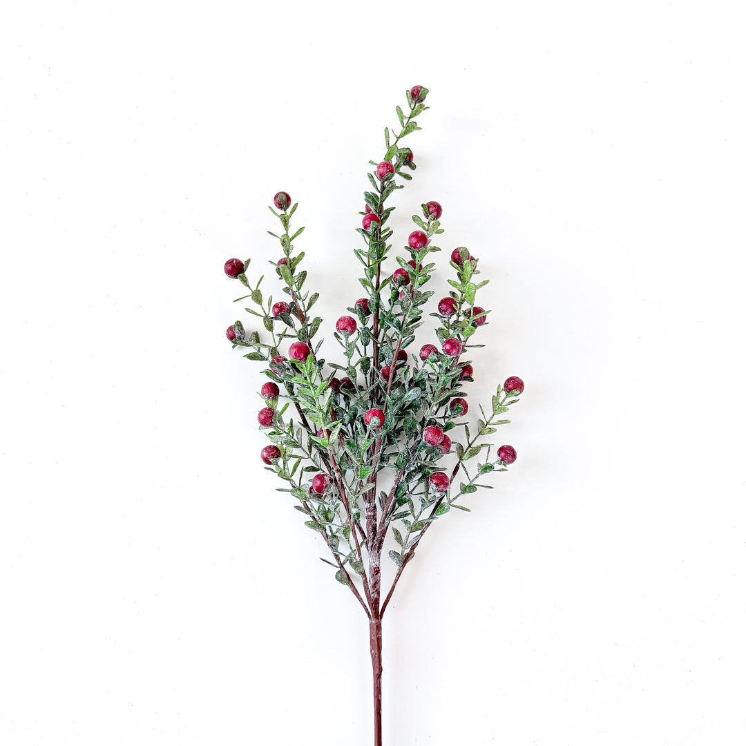 Red Berry Spray