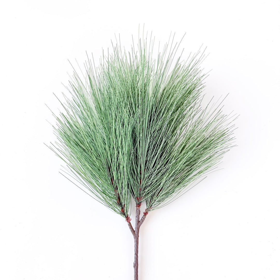 Long Needle Pine Spray