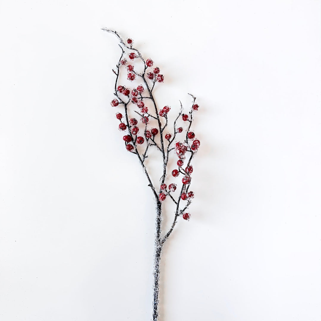 Jolly Iced Berry Spray
