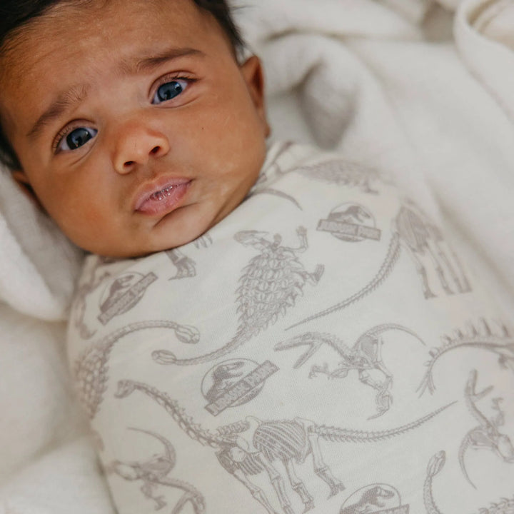 Jurassic Park Fossils Knit Swaddle Blanket