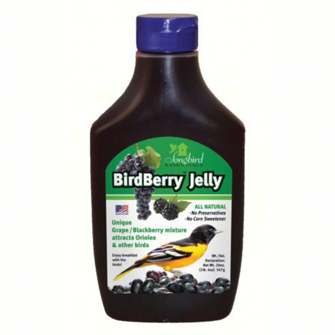 Birdberry Jelly