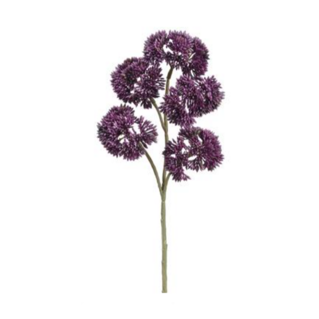 Purple Sedum Spray