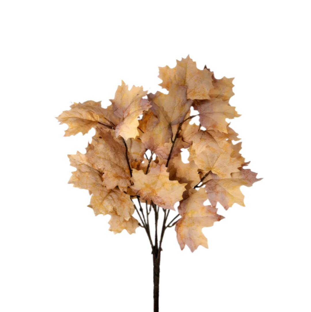 Northern Vermont Maple Bush Pick