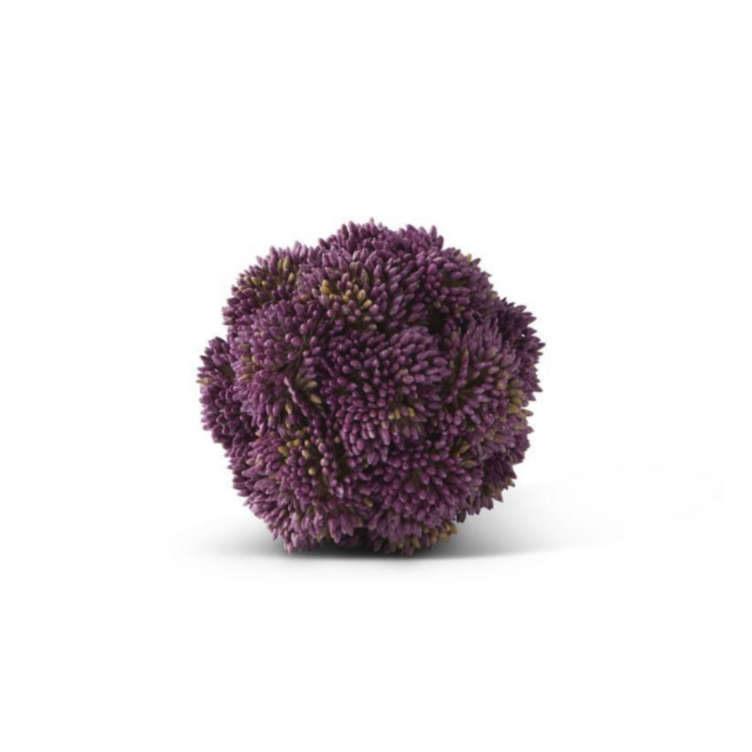 Dark Purple Sedum Ball