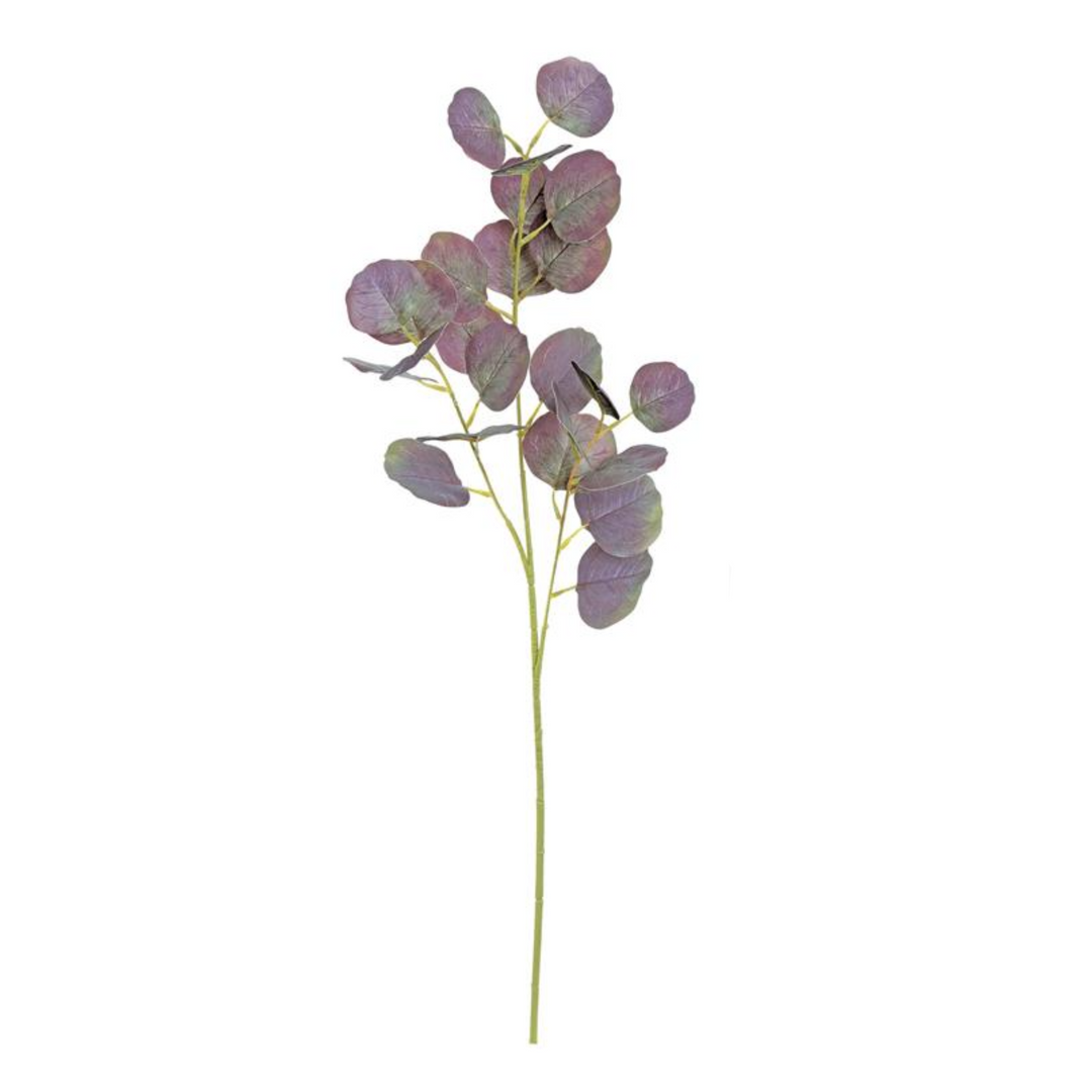Plum Silver Dollar Spray