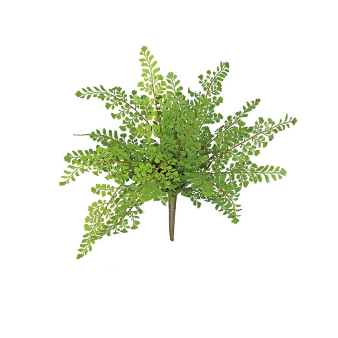 Soft Touch Maidenhair Pick