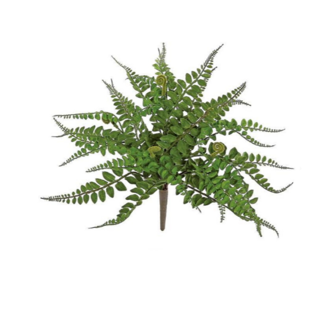 Forest Fern Bush