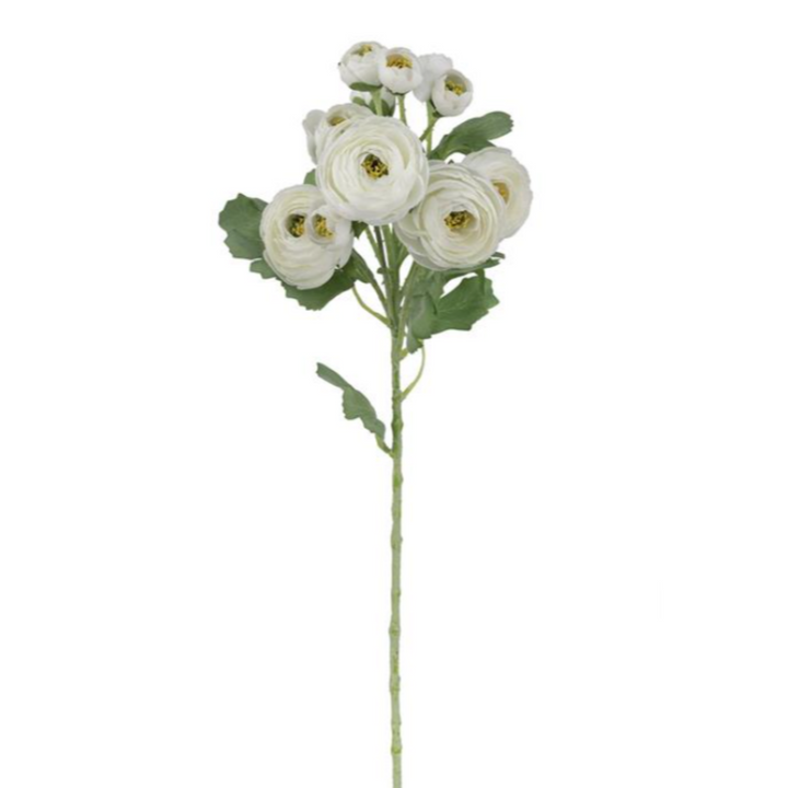 Bunched Ranunculus Spray